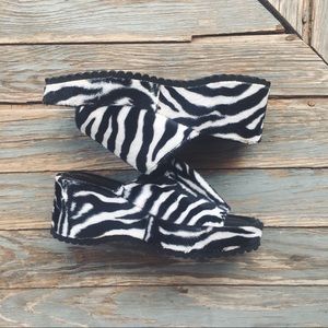 Zebra Platforms